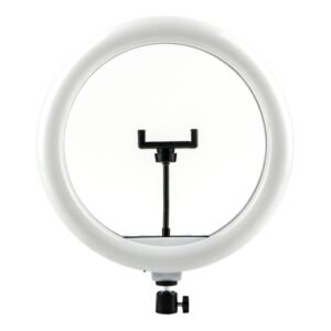 217d2650-ac90-11ef-80be-9457a566888c-big.jpg Лампа Fill Light 30cm (QX-300)