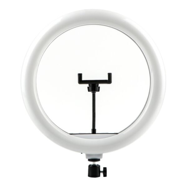 217d2650-ac90-11ef-80be-9457a566888c-big.jpg Лампа Fill Light 30cm (QX-300)