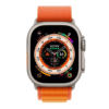22aa6685-4a7b-11ef-80b7-9457a5668888-big.png Ремінець Alpine Loop для Apple Watch 42/44/45/49 mm