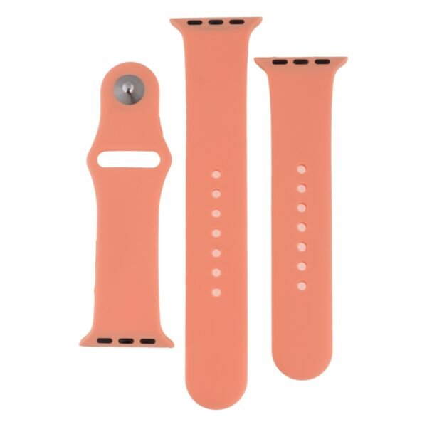 46a3a1d6-8401-11ec-9845-40a8f0332cc3-big.jpg Ремінець для Apple Watch Band Silicone Two-Piece 38/40/41 mm