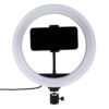 4f279587-7cb7-11eb-80e6-40a8f0332cc3-big.jpg Лампа RGB MJ26 (remote) 26cm