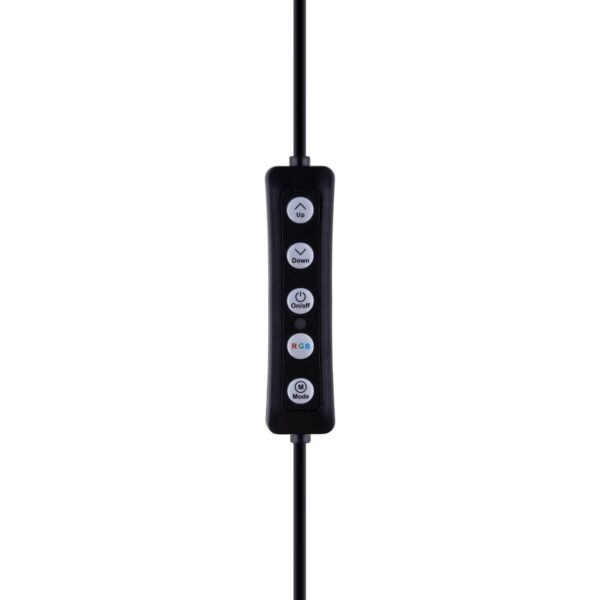 4f279589-7cb7-11eb-80e6-40a8f0332cc3-big.jpg Лампа RGB MJ26 (remote) 26cm