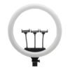 5ef740ff-aaf7-11ef-80bd-9457a5668888-big.jpg Лампа Fill Light 45cm (LJJ-45)