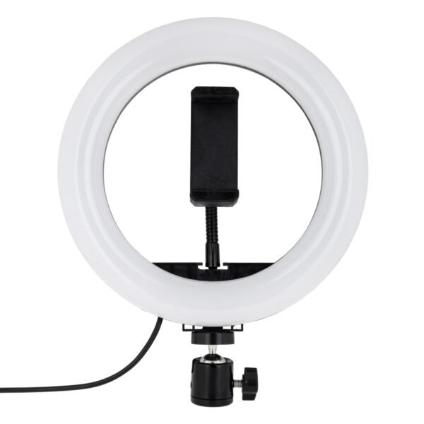 89f16734-7cb5-11eb-80e6-40a8f0332cc3-big.jpg Лампа RGB MJ20 20cm