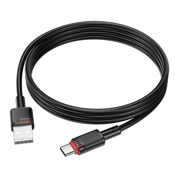 b16d3ad0-1092-11f0-80c3-9457a5668888-big.jpg Кабель USB Borofone BX110 Type-C 3A