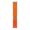 b3b25b51-4a7b-11ef-80b7-9457a5668888-big.png Ремінець Alpine Loop для Apple Watch 42/44/45/49 mm