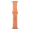 d86e9c57-342d-11ed-989a-f0921c0c5194-big.jpg Ремінець для Apple Watch Band Silicone One-Piece Size-S 42/44/45/49 mm