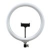 ec160a4b-f8f9-11ef-80c1-9457a5668888-big.jpg Лампа Fill Light 33cm (LJJ-33)