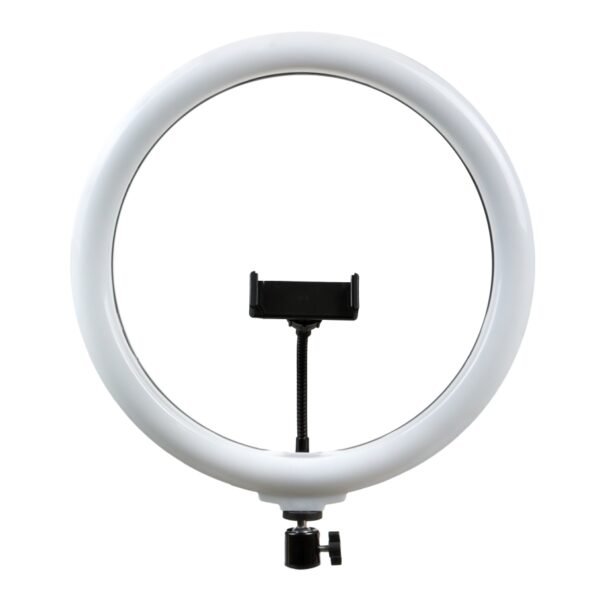 ec160a4b-f8f9-11ef-80c1-9457a5668888-big.jpg Лампа Fill Light 33cm (LJJ-33)
